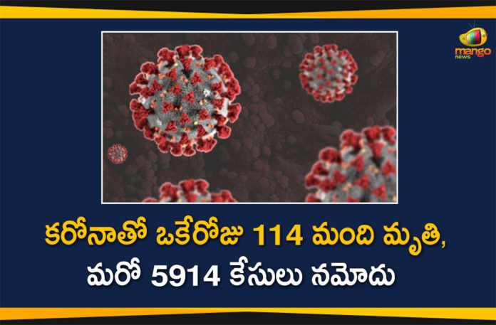 Coronavirus in Tamil Nadu, Tamil Nadu, Tamil Nadu Corona Cases, Tamil Nadu Corona Deaths, Tamil Nadu Corona Positive Cases, Tamil Nadu Coronavirus, Tamil Nadu Coronavirus Cases, Tamil Nadu Coronavirus News, Tamil Nadu Coronavirus Updates, Tamil Nadu Covid-19 Cases,