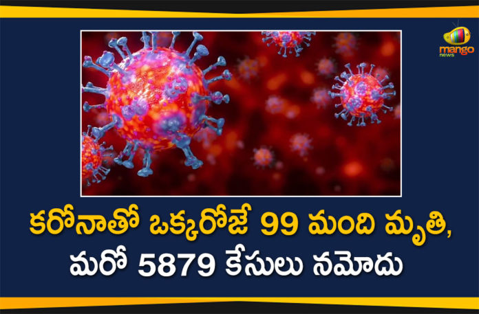 Coronavirus in Tamil Nadu, Tamil Nadu, Tamil Nadu Corona Cases, Tamil Nadu Corona Deaths, Tamil Nadu Corona Positive Cases, Tamil Nadu Coronavirus, Tamil Nadu Coronavirus Cases, Tamil Nadu Coronavirus News, Tamil Nadu Coronavirus Updates, Tamil Nadu Covid-19 Cases,