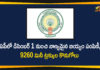Andhra Pradesh Government, Andhra Pradesh Schemes, AP Govt to Start Quality Rice Distribution Scheme, AP Quality Rice Distribution Scheme, Door delivery of quality rice in AP, Quality Rice Distribution Scheme, Quality rice scheme, Quality rice through PDS