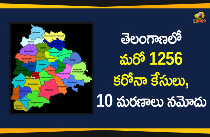 Coronavirus, Coronavirus Breaking News, Coronavirus Latest News, COVID-19, telangana, Telangana Coronavirus, Telangana Coronavirus Cases, Telangana Coronavirus Deaths, Telangana Coronavirus New Cases, Telangana Coronavirus News, Telangana New Positive Cases, Total COVID 19 Cases