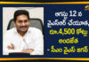 Andhra Pradesh, AP CM YS Jagan, AP YSR Cheyutha Scheme, CM YS Jagan, CM YS Jagan Says 4500 Crores Allocated for YSR Cheyutha Scheme, s 4500 Crores Allocated for YSR Cheyutha Schem, YSR Cheyutha Scheme, YSR Cheyutha Scheme News, YSR Cheyutha Scheme Updates