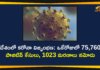 Coronavirus Cases, coronavirus cases india, coronavirus india, coronavirus india live updates, India Corona Updates, India Coronavirus, India Covid-19 Updates, total corona cases in india today, Total Corona Positive Cases in India, total corona positive in india