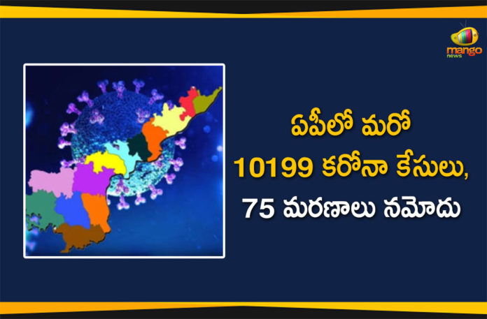 Andhra Pradesh, Andhra Pradesh COVID-19 Daily Bulletin, Andhra Pradesh Department of Health, ap coronavirus cases today, ap coronavirus cases total, ap coronavirus updates district wise, AP COVID 19 Cases, AP Total Positive Cases, COVID-19, COVID-19 Daily Bulletin, Total Corona Cases In AP