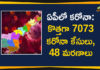 Andhra Pradesh, Andhra Pradesh COVID-19 Daily Bulletin, Andhra Pradesh Department of Health, ap coronavirus cases today, ap coronavirus cases total, ap coronavirus updates district wise, AP COVID 19 Cases, AP Total Positive Cases, COVID-19, COVID-19 Daily Bulletin, Total Corona Cases In AP