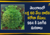 Coronavirus, COVID-19, Covid-19 Updates in Telangana, telangana corona district wise cases, telangana coronavirus cases district wise, telangana coronavirus cases today, telangana coronavirus cases today district wise, telangana coronavirus district wise, telangana coronavirus district wise List, Telangana Coronavirus News, telangana covid cases today bulletin, telangana covid cases today list