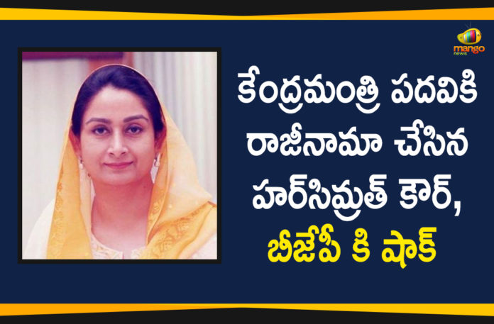Farmers Bills, Harsimrat Kaur Badal, Harsimrat Kaur Badal Protest Against Farmers Bills, Harsimrat Kaur Badal quits Union Cabinet, Harsimrat Kaur Badal Resigned to Union Minister Post, Harsimrat Kaur Badal resigns as union minister, Protest Against Farmers Bills, Union minister Harsimrat Kaur Badal resigns, Union minister Harsimrat Kaur Badal resigns