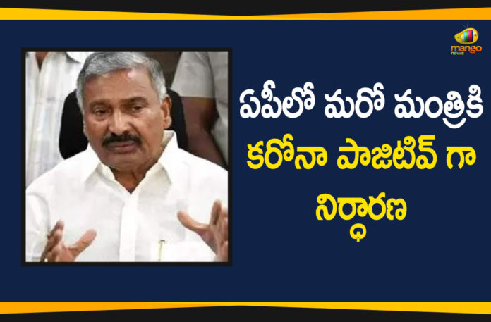 Andhra Pradesh, Andhra Pradesh COVID-19 Daily Bulletin, ap coronavirus cases today, AP COVID 19 Cases, AP Minister Peddireddy Ramachandra Reddy, AP Minister Peddireddy Ramachandra Reddy Tests Positive, AP Total Positive Cases, COVID-19, Peddireddy Ramachandra Reddy Tests Positive, Total Corona Cases In AP