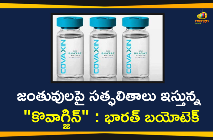Animal Trials of Covaxin Successful, Bharat Biotech, Bharat Biotech Covaxin, Bharat Biotech Covaxin Vaccine, Bharat Biotech Covid-19 Vaccine, Coronavirus Vaccine COVAXIN, Coronavirus Vaccine Covaxin Clinical Trials, COVAXIN, Covaxin Clinical Trials, Covaxin Vaccine, Hyderabad Company Bharat Biotech, ICMR’s COVID-19 vaccine COVAXIN