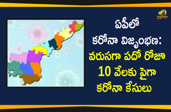 Andhra Pradesh, Andhra Pradesh COVID-19 Daily Bulletin, Andhra Pradesh Department of Health, ap coronavirus cases today, ap coronavirus cases total, ap coronavirus updates district wise, AP COVID 19 Cases, AP Total Positive Cases, COVID-19, COVID-19 Daily Bulletin, Total Corona Cases In AP