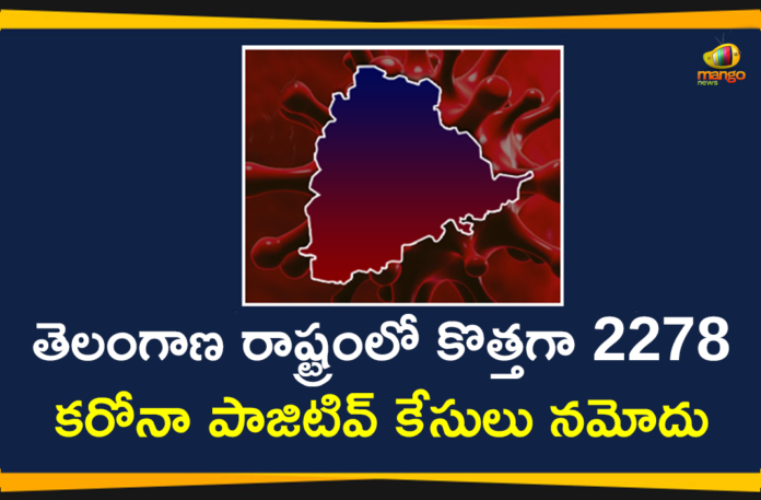 Coronavirus, COVID-19, Covid-19 Updates in Telangana, telangana corona district wise cases, telangana coronavirus cases district wise, telangana coronavirus cases today, telangana coronavirus cases today district wise, telangana coronavirus district wise, telangana coronavirus district wise List, Telangana Coronavirus News, telangana covid cases today bulletin, telangana covid cases today list