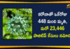 Corona Positive Cases in Maharashtra, Corona Positive Cases In Maharashtra, Maharashtra, Maharashtra , Maharashtra Corona, Maharashtra Corona Cases, Maharashtra Corona Deaths, Maharashtra Corona Positive Cases, Maharashtra Coronavirus, Maharashtra Coronavirus Positive Cases, Maharashtra Coronavirus Updates, Maharashtra COVID 19