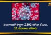 Coronavirus, COVID-19, Covid-19 Updates in Telangana, telangana corona district wise cases, telangana coronavirus cases district wise, telangana coronavirus cases today, telangana coronavirus cases today district wise, telangana coronavirus district wise, telangana coronavirus district wise List, Telangana Coronavirus News, telangana covid cases today bulletin, telangana covid cases today list