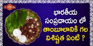 భారతీయ సంప్రదాయం లో తాంబూలానికి గల విశిష్టత ఏంటి?,Dr Ananta Lakshmi Latest Videos,Ananta Lakshmi,Ananta Lakshmi Videos,Why do we say namaskar?,Is Namaste Japanese or Indian?,What is the difference between Namaste and namaskar?,What does the Indian word Namaste mean?,The Science Behind Hindu Greeting Namaste or Namaskar