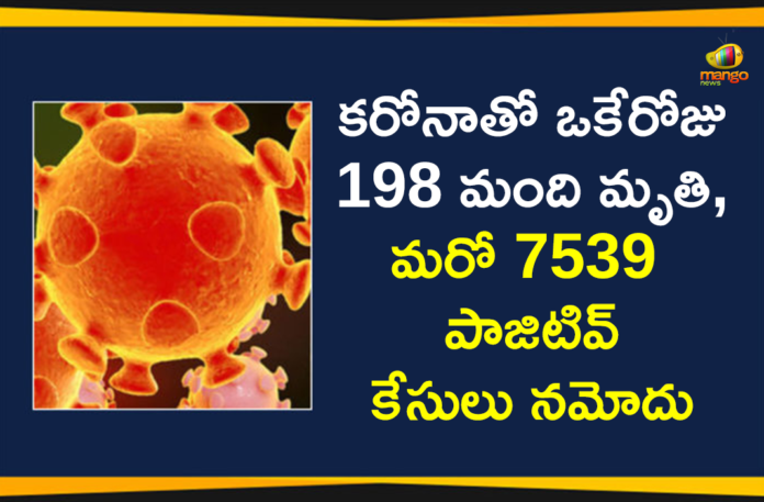 Corona Positive Cases in Maharashtra, Corona Positive Cases In Maharashtra, Maharashtra, Maharashtra , Maharashtra Corona, Maharashtra Corona Cases, Maharashtra Corona Deaths, Maharashtra Corona Positive Cases, Maharashtra Coronavirus, Maharashtra Coronavirus Positive Cases, Maharashtra Coronavirus Updates, Maharashtra COVID 19