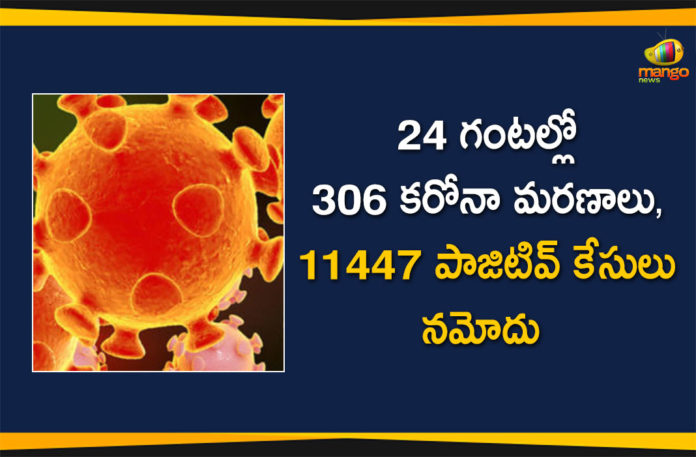 Corona Positive Cases in Maharashtra, Corona Positive Cases In Maharashtra, Maharashtra, Maharashtra , Maharashtra Corona, Maharashtra Corona Cases, Maharashtra Corona Deaths, Maharashtra Corona Positive Cases, Maharashtra Coronavirus, Maharashtra Coronavirus Positive Cases, Maharashtra Coronavirus Updates, Maharashtra COVID 19