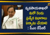 Agriculture Department, CM KCR, CM KCR Review Meeting, CM KCR Review Meeting on Agriculture Department, KCR Maize, Rainy Season Crops, Telangana Agricultural News, telangana agriculture budget, Telangana Agriculture News, Telangana CM KCR