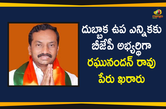 BJP Announces M Raghunandan Rao As a Candidate for Dubbaka, Dubbaka By election, M Raghunandan Rao