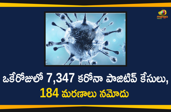 Corona Positive Cases in Maharashtra, Corona Positive Cases In Maharashtra, Maharashtra, Maharashtra , Maharashtra Corona, Maharashtra Corona Cases, Maharashtra Corona Deaths, Maharashtra Corona Positive Cases, Maharashtra Coronavirus, Maharashtra Coronavirus Positive Cases, Maharashtra Coronavirus Updates, Maharashtra COVID 19