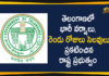 Heavy Rains In Hyderabad, Heavy rains lash Hyderabad, Hyderabad Rain Today, Hyderabad Rains, Hyderabad Rains news, Minister KTR, Minister KTR Review on Relief Measures, Telangana Govt Announces Two Days Holidays, Telangana rains, telangana rains news, telangana rains updates, Two Days Holidays in the State Due to Heavy Rains