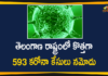 Coronavirus, COVID-19, Covid-19 Updates in Telangana, telangana corona district wise cases, telangana coronavirus cases district wise, telangana coronavirus cases today, telangana coronavirus cases today district wise, telangana coronavirus district wise, telangana coronavirus district wise List, Telangana Coronavirus News, telangana covid cases today bulletin, telangana covid cases today list,mango news