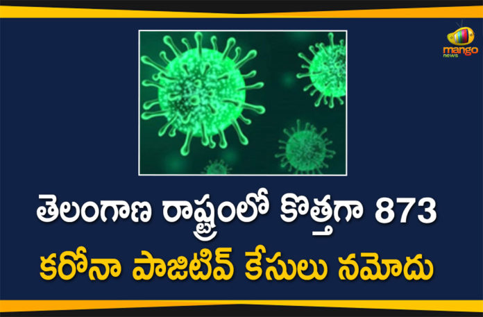 Coronavirus, COVID-19, Covid-19 Updates in Telangana, telangana corona district wise cases, telangana coronavirus cases district wise, telangana coronavirus cases today, telangana coronavirus cases today district wise, telangana coronavirus district wise, telangana coronavirus district wise List, Telangana Coronavirus News, telangana covid cases today bulletin, telangana covid cases today list