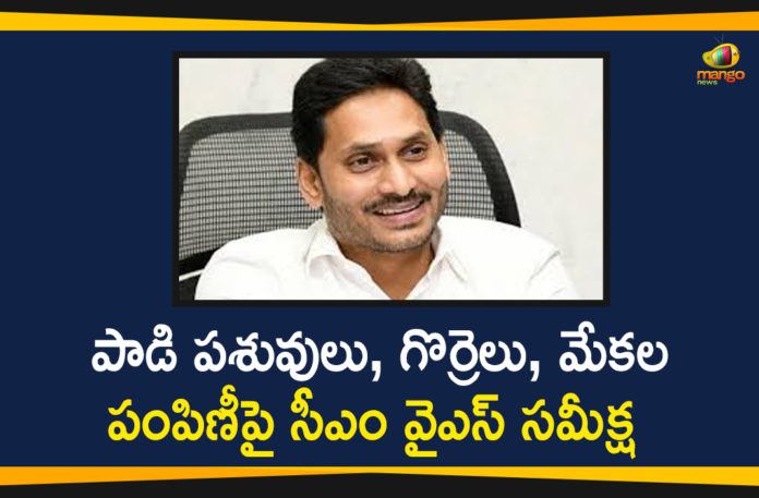 Andhra Pradesh, Andhra Pradesh News, AP CM YS Jagan, AP CM YS Jagan Review on Distribution of Dairy Cattle, CM Jagan Review On Distribution Of Dairy Cattle, CM YS Jagan reviews on dairy farms, Distribution of Dairy Cattle In AP, distribution of dairy cattle to women, Mango News Telugu, YS Jagan reviews, YS Jagan reviews on distribution of dairy cattle to women