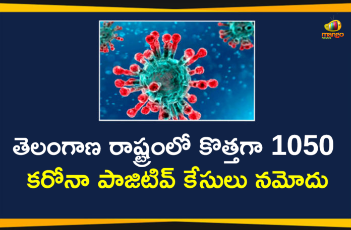 Coronavirus, COVID-19, Covid-19 Updates in Telangana, telangana corona district wise cases, telangana coronavirus cases district wise, telangana coronavirus cases today, telangana coronavirus cases today district wise, telangana coronavirus district wise, telangana coronavirus district wise List, Telangana Coronavirus News, telangana covid cases today bulletin, telangana covid cases today list