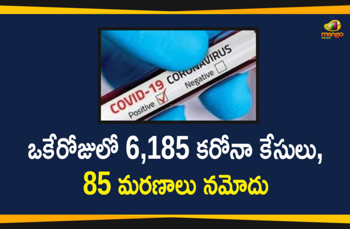 Corona Positive Cases in Maharashtra, Corona Positive Cases In Maharashtra, Maharashtra, Maharashtra , Maharashtra Corona, Maharashtra Corona Cases, Maharashtra Corona Deaths, Maharashtra Corona Positive Cases, Maharashtra Coronavirus, Maharashtra Coronavirus Positive Cases, Maharashtra Coronavirus Updates, Maharashtra COVID 19,mango news