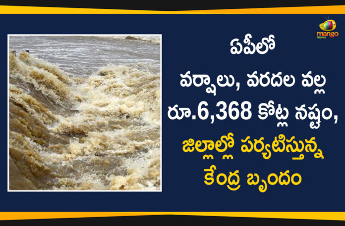 Central Team Reached to AP To Assess the Loss Due to Rains and Floods