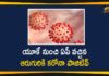 6 People Who Returned from UK to AP Tested Positive for Covid-19,New Coronavirus Strain,Covid-19 Variant Updates,UK Coronavirus Variant,New Strain Of Coronavirus,New Coronavirus Strain UK,New Coronavirus Strain Latest News,News COVID-19 Strain,News COVID-19 Strain Updates,News COVID-19 Strain Latest News,Mango News,Mango News Telugu,AP,Andra Pradesh News,Andra Pradesh Latest News,Andra Pradesh COVID-19 News,Andra Pradesh COVID-19 Updates,UK Returnees,UK News COVID-19 Strain,Coronavirus Strain in Andra Pradesh,UK Returnees Test COVID-19 Positive In AP,6 People Who Returned from UK to AP Tested Positive,Andra Pradesh