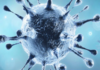 Coronavirus, Coronavirus Breaking News, Coronavirus Latest News, COVID-19, telangana, Telangana Coronavirus, Telangana Coronavirus Cases, Telangana Coronavirus Deaths, Telangana Coronavirus New Cases, Telangana Coronavirus News, Telangana New Positive Cases, Total COVID 19 Cases