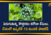 73 People in India Tested Positive, Coronavirus Cases, coronavirus cases india, coronavirus india, Coronavirus Strain, Coronavirus Strain Cases, India New Coronavirus Strain, India New Coronavirus Strain Cases, Mango News Telugu, New coronavirus Strain, New Coronavirus Strain Cases in India, New Coronavirus Strain in India