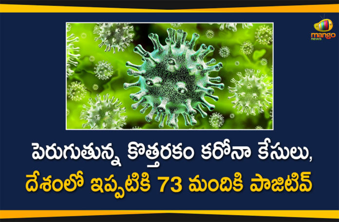 73 People in India Tested Positive, Coronavirus Cases, coronavirus cases india, coronavirus india, Coronavirus Strain, Coronavirus Strain Cases, India New Coronavirus Strain, India New Coronavirus Strain Cases, Mango News Telugu, New coronavirus Strain, New Coronavirus Strain Cases in India, New Coronavirus Strain in India