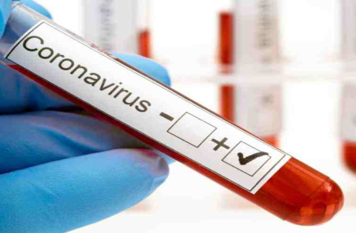 Corona Positive Cases in Maharashtra, Corona Positive Cases In Maharashtra, Maharashtra, Maharashtra , Maharashtra Corona, Maharashtra Corona Cases, Maharashtra Corona Deaths, Maharashtra Corona Positive Cases, Maharashtra Coronavirus, Maharashtra Coronavirus Positive Cases, Maharashtra Coronavirus Updates, Maharashtra COVID 19,mango news