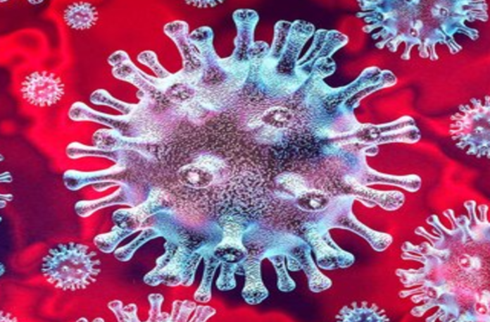 Coronavirus, Coronavirus Breaking News, Coronavirus Latest News, COVID-19, telangana, Telangana Coronavirus, Telangana Coronavirus Cases, Telangana Coronavirus Deaths, Telangana Coronavirus New Cases, Telangana Coronavirus News, Telangana New Positive Cases, Total COVID 19 Cases