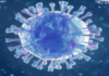 Coronavirus Cases, coronavirus cases in india state wise, coronavirus cases in india today state wise, coronavirus cases india, coronavirus india, India Coronavirus, India Covid-19 Updates, New Confirmed Corona Cases, total corona cases in india today, total corona positive in india,mango news