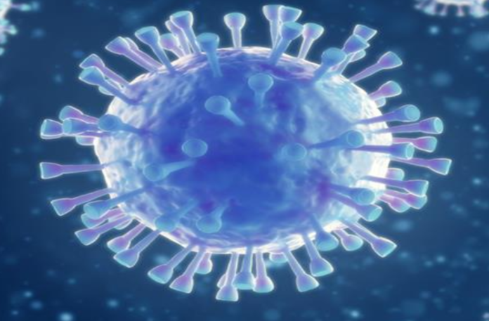 Coronavirus Cases, coronavirus cases in india state wise, coronavirus cases in india today state wise, coronavirus cases india, coronavirus india, India Coronavirus, India Covid-19 Updates, New Confirmed Corona Cases, total corona cases in india today, total corona positive in india,mango news