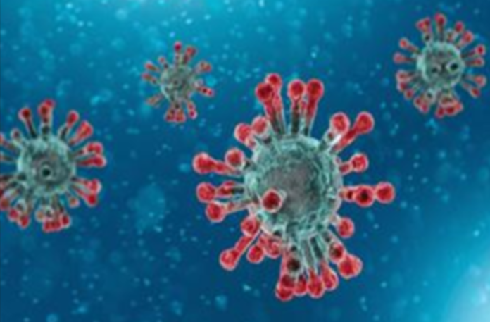 Corona Positive Cases in Maharashtra, Corona Positive Cases In Maharashtra, Maharashtra, Maharashtra , Maharashtra Corona, Maharashtra Corona Cases, Maharashtra Corona Deaths, Maharashtra Corona Positive Cases, Maharashtra Coronavirus, Maharashtra Coronavirus Positive Cases, Maharashtra Coronavirus Updates, Maharashtra COVID 19,mango news