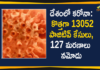 Coronavirus Cases, coronavirus cases india, coronavirus india, coronavirus india live updates, Coronavirus India News LIVE Updates, COVID-19 pandemic in India, India Coronavirus, India Covid-19 Updates, total corona cases in india today, Total Corona Positive Cases in India, total corona positive in india