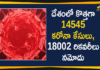 Coronavirus Cases, coronavirus cases india, coronavirus india, coronavirus india live updates, Coronavirus India News LIVE Updates, COVID-19 pandemic in India, India Coronavirus, India Covid-19 Updates, total corona cases in india today, Total Corona Positive Cases in India, total corona positive in india