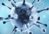 Coronavirus, Coronavirus Breaking News, Coronavirus Latest News, COVID-19, telangana, Telangana Coronavirus, Telangana Coronavirus Cases, Telangana Coronavirus Deaths, Telangana Coronavirus New Cases, Telangana Coronavirus News, Telangana New Positive Cases, Total COVID 19 Cases