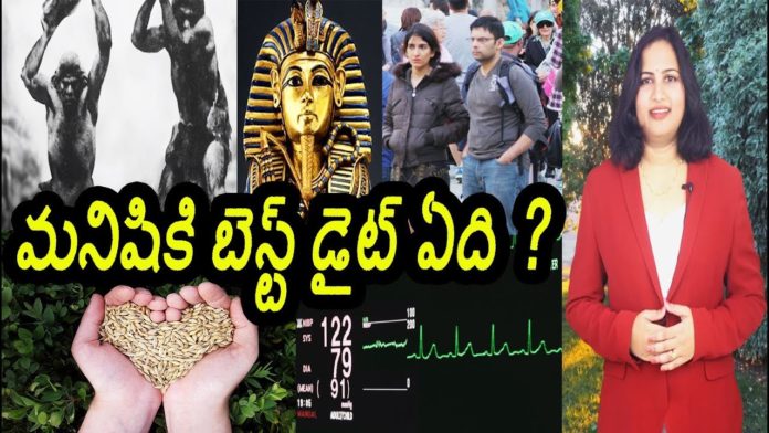 మనిషికి బెస్ట్ డైట్ ఏది,What is the Best Diet for Human Beings,Lavanya,Yuvaraj Infotainment,Best Diet for People,Best Diet for Human Beings,Healthy Diet,Healthy Diet for Human Beings,Healthy Diet for Human beings in Telugu,Health Tips,Health Tips in Telugu,Best Health Tips,Best Health Tips in Telugu,latest News,Latest Updates