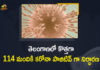 Coronavirus, COVID-19, Covid-19 Updates in Telangana, telangana corona district wise cases, telangana coronavirus cases district wise, telangana coronavirus cases today, telangana coronavirus cases today district wise, telangana coronavirus district wise, telangana coronavirus district wise List, Telangana Coronavirus News, telangana covid cases today bulletin, telangana covid cases today list,mango news