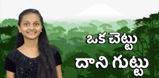 Biblical Mystery of the Olive Tree - Zion Ministries,Mango News,Mango News Telugu,ఒక చెట్టు దాని గుట్టు,Significance and Uses of the Olive Tree,Biblical Mystery of the Olive Tree,Zion Ministries,olive tree,olive tree uses,olive tree benefits,biblical characteristics of an olive tree olive tree importance,olive tree meaning,bible verses about olive oil significance of olive oil in the bible,Significance Of Olive Tree In Bible,olive oil,health benefits of olive oil,olive tree facts,trees in the bible,bible verses on olive tree