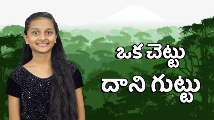 Biblical Mystery of the Olive Tree - Zion Ministries,Mango News,Mango News Telugu,ఒక చెట్టు దాని గుట్టు,Significance and Uses of the Olive Tree,Biblical Mystery of the Olive Tree,Zion Ministries,olive tree,olive tree uses,olive tree benefits,biblical characteristics of an olive tree olive tree importance,olive tree meaning,bible verses about olive oil significance of olive oil in the bible,Significance Of Olive Tree In Bible,olive oil,health benefits of olive oil,olive tree facts,trees in the bible,bible verses on olive tree