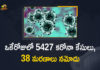Corona Positive Cases in Maharashtra, Corona Positive Cases In Maharashtra, Maharashtra, Maharashtra , Maharashtra Corona, Maharashtra Corona Cases, Maharashtra Corona Deaths, Maharashtra Corona Positive Cases, Maharashtra Coronavirus, Maharashtra Coronavirus Positive Cases, Maharashtra Coronavirus Updates, Maharashtra COVID 19,mango news