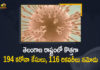 Coronavirus, COVID-19, Covid-19 Updates in Telangana, telangana corona district wise cases, telangana coronavirus cases district wise, telangana coronavirus cases today, telangana coronavirus cases today district wise, telangana coronavirus district wise, telangana coronavirus district wise List, Telangana Coronavirus News, telangana covid cases today bulletin, telangana covid cases today list,mango news