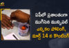 AP Municipal Elections Polling Completed Peacefully, Counting on March 14th