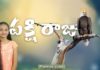 పక్షి రాజు!,Wonderful and Inspirational Message About Pakshi Raju,Prathista Grace,Eagle Story,Zion Ministries,pakshi raju,pakshi raju story,pakshi raju life style,pakshi raju inspirational story,pakshi raju life,pakshi raju in bible,pakshi raju bible story,best birds in bible,pakshi raju bible verses in telugu,best birds story in biblet,bible verses on pakshi raju,pakshi raju life details,inspirational stories,motivational stories,how to achieve success