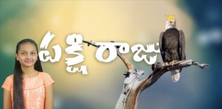 పక్షి రాజు!,Wonderful and Inspirational Message About Pakshi Raju,Prathista Grace,Eagle Story,Zion Ministries,pakshi raju,pakshi raju story,pakshi raju life style,pakshi raju inspirational story,pakshi raju life,pakshi raju in bible,pakshi raju bible story,best birds in bible,pakshi raju bible verses in telugu,best birds story in biblet,bible verses on pakshi raju,pakshi raju life details,inspirational stories,motivational stories,how to achieve success